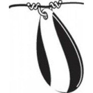 CLEVIS-IC