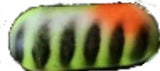 FLOATS RIG 1/4"D X 5/8"L 10pk
